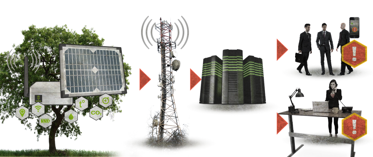 Innovative system for early detection and warning in case of forest fires