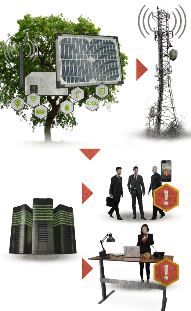 Innovative system for early detection and warning in case of forest fires